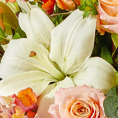 Grapefruit Splash Bouquet – PICKET FENCE FLORAL & DESIGN, Holland MI