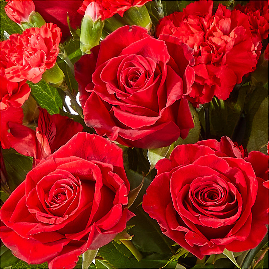 The Heartstrings Bouquet – PICKET FENCE FLORAL & DESIGN, Holland MI