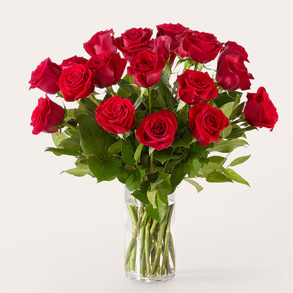 The One Red Rose Bouquet – PICKET FENCE FLORAL & DESIGN, Holland MI