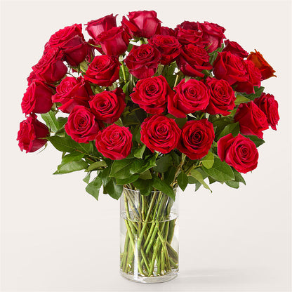 The One Red Rose Bouquet – PICKET FENCE FLORAL & DESIGN, Holland MI