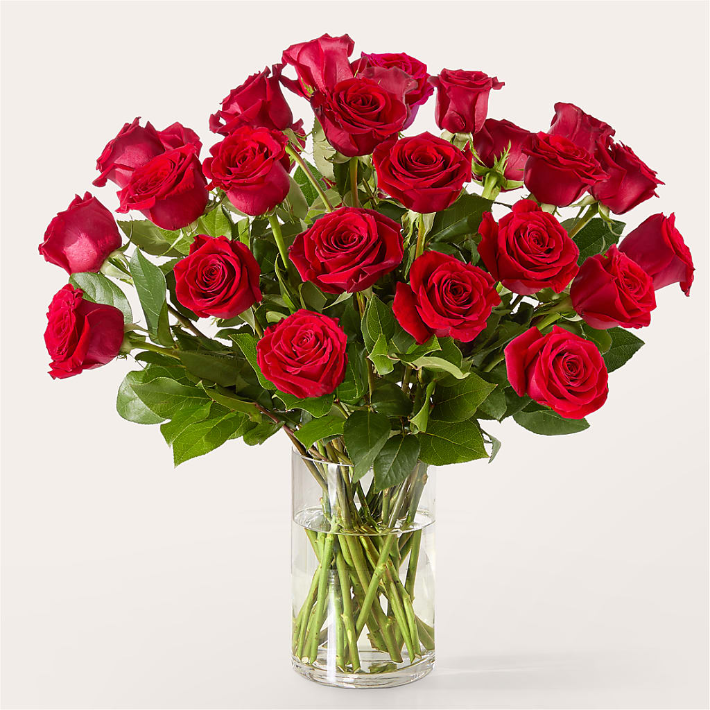 The One Red Rose Bouquet – PICKET FENCE FLORAL & DESIGN, Holland MI