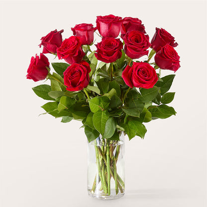 The One Red Rose Bouquet – PICKET FENCE FLORAL & DESIGN, Holland MI