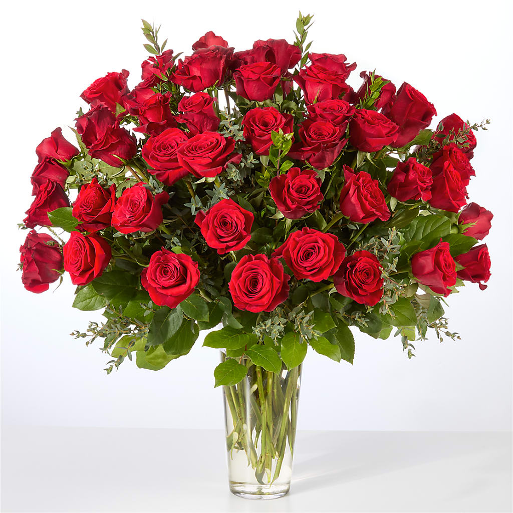 Forever Yours Fifty Stem Red Rose Bouquet – PICKET FENCE FLORAL & DESIGN, Holland MI