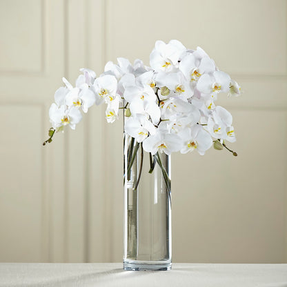 White Phalaenopsis Bouquet – PICKET FENCE FLORAL & DESIGN, Holland MI