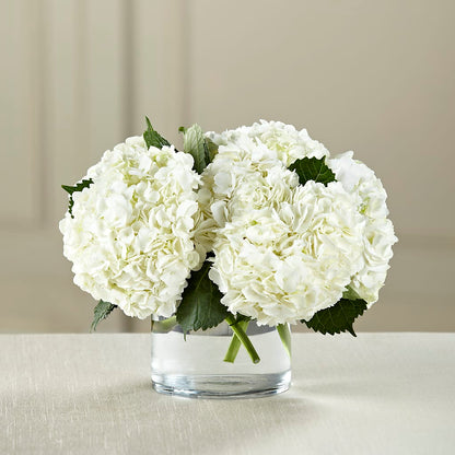 White Hydrangea Bouquet – PICKET FENCE FLORAL & DESIGN, Holland MI